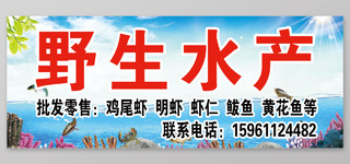 美食海鲜野生水产宣传展板